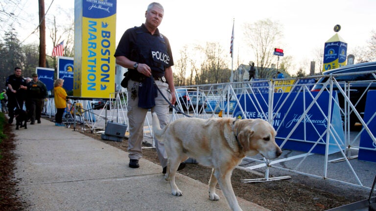 A police officer and a working dog perform a security sweep at the starting line of the Boston Marathon in Hopkinton, April 17, 2017.