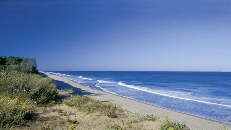 Coast Guard Beach on Cape Cod.