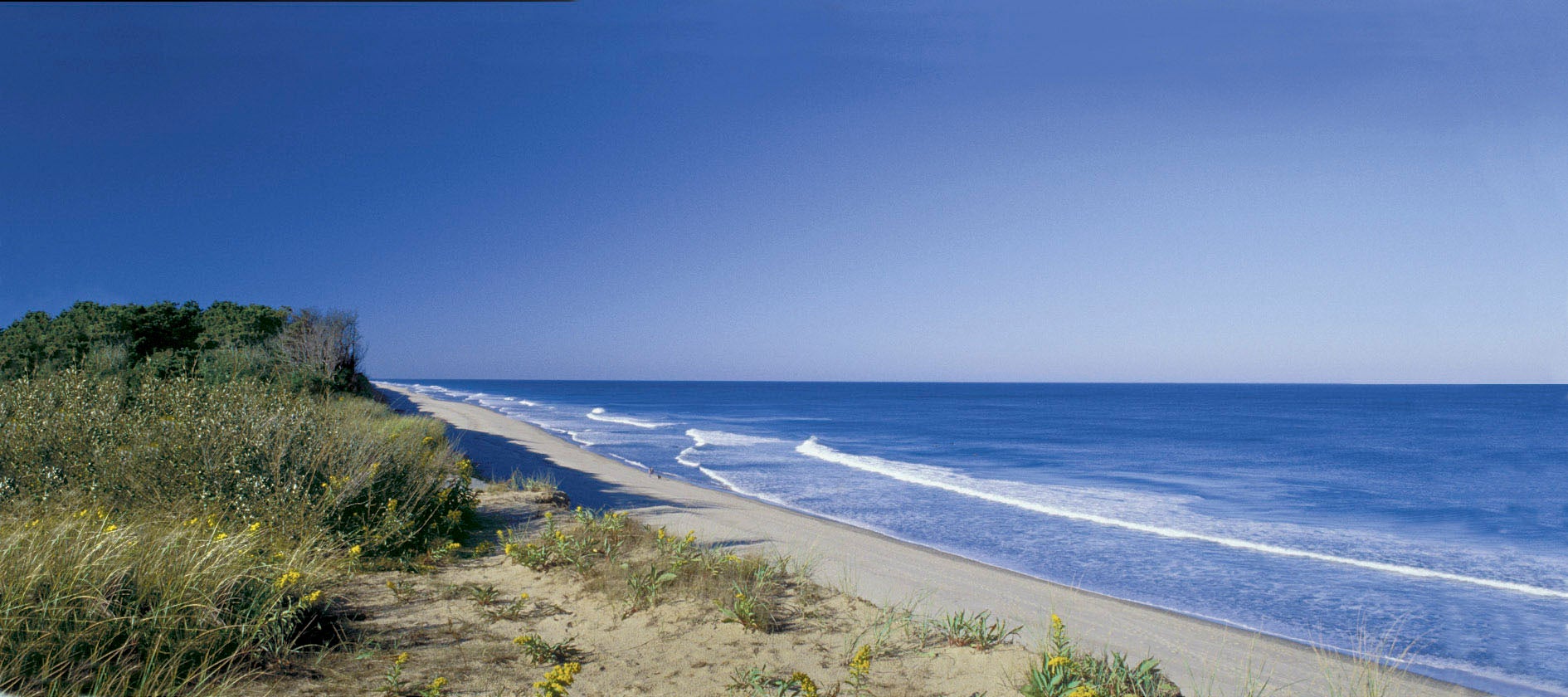 Coast Guard Beach on Cape Cod.