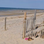 Race Point Beach in Provincetown.