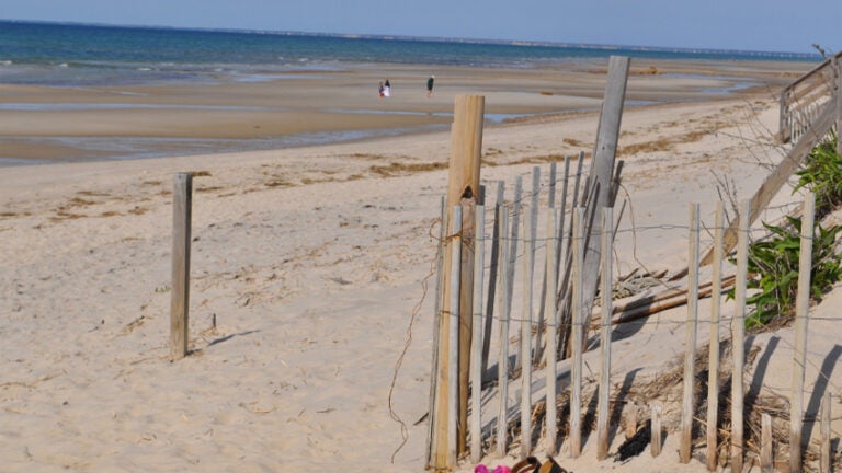 Race Point Beach in Provincetown.