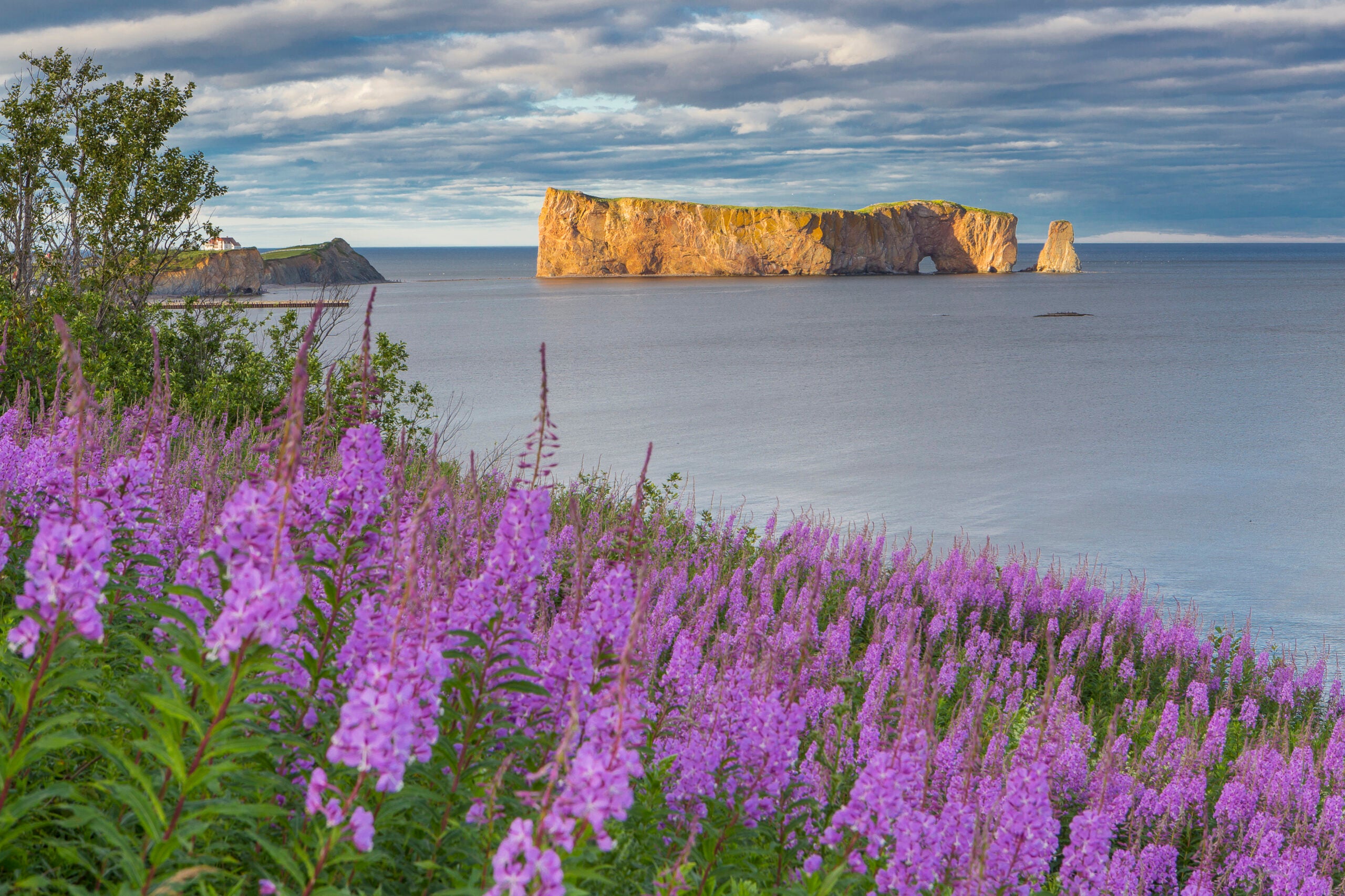 Atlantic Salmon 2017 Trip In Review: Gaspé Peninsula, Canada July