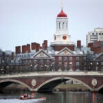 Rowers paddle on Charles past Harvard