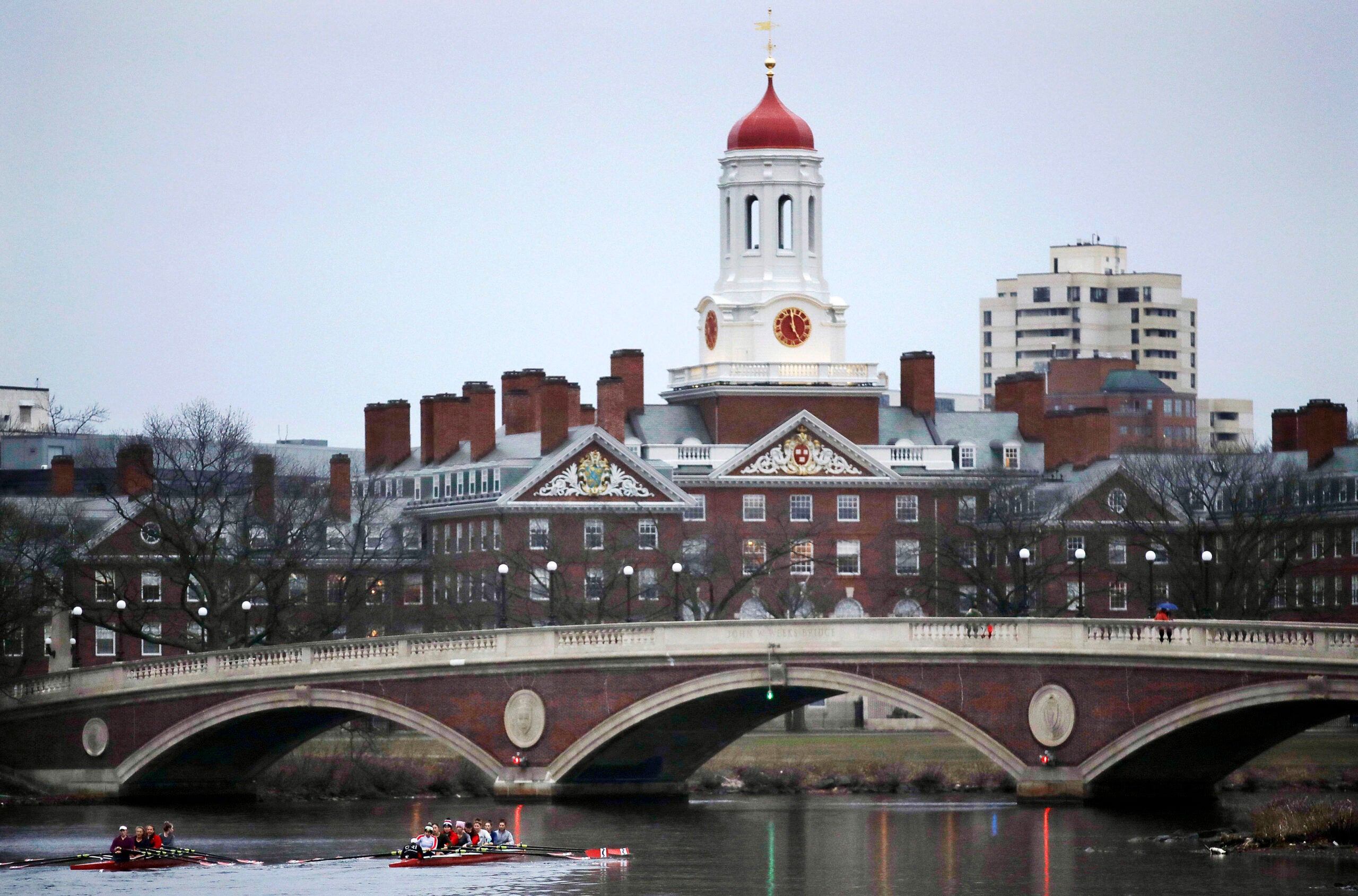 Rowers paddle on Charles past Harvard