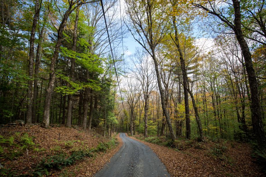 What is it like to live in Windsor?