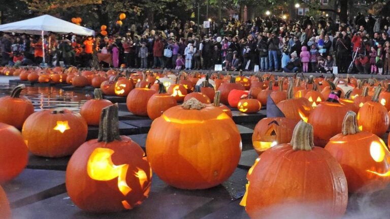 Boston in The Fall: Best Things To Do & Activities