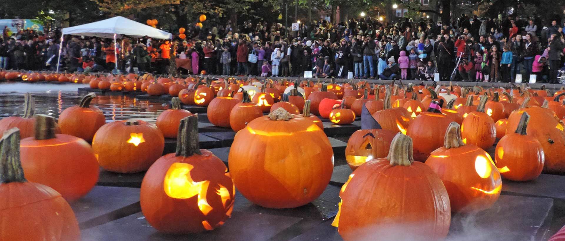 The 31 Best Things To Do Around Boston This October