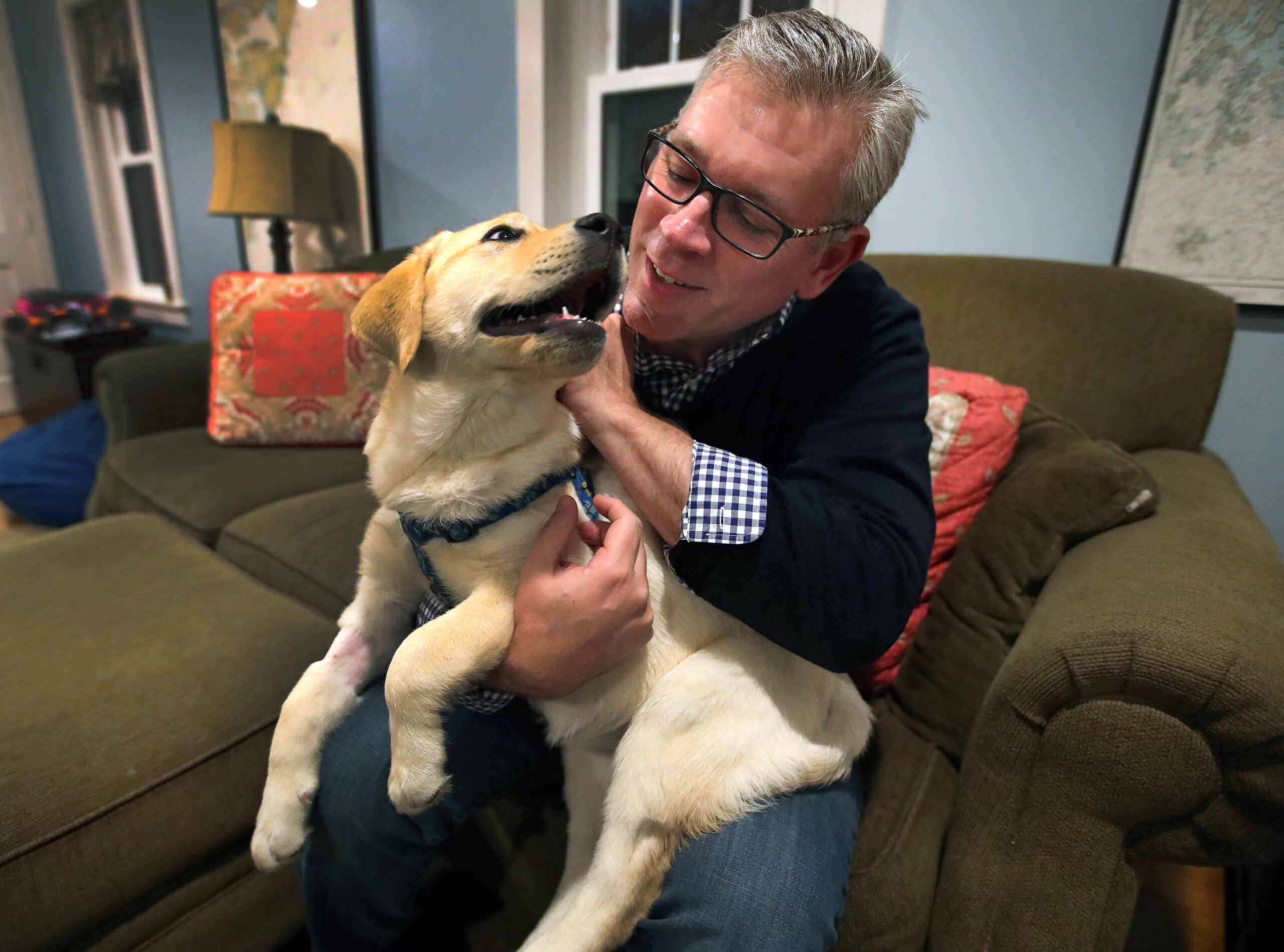 Is Your Puppy Showing These Dewormer Overdose Symptoms? - 36cnkdk