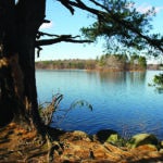 Spot Pond at the Middlesex Fells Reservation