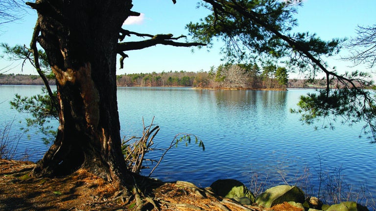 Spot Pond at the Middlesex Fells Reservation