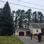 Portland Christmas Tree