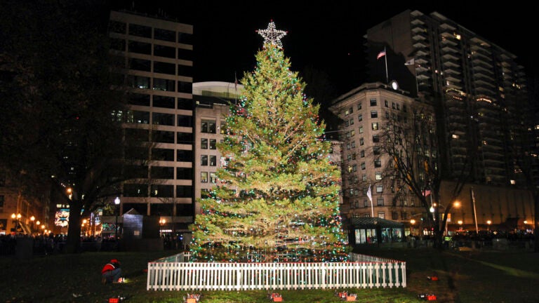 Get Into The Spirit Of The Season With One Of These Boston Tree Lightings