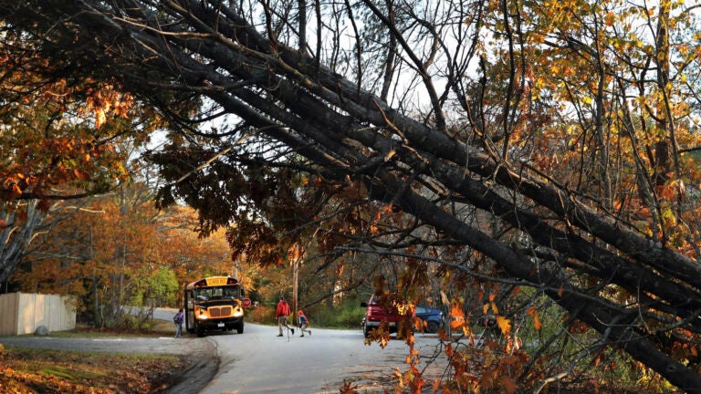 Northeast Storm in Maine