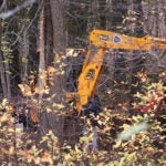 Authorities Search West Roxbury Search