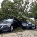 Fallen Tree Covers Cars in Warwick, RI