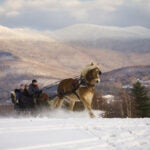 Trapp Family Lodge sleigh ride.