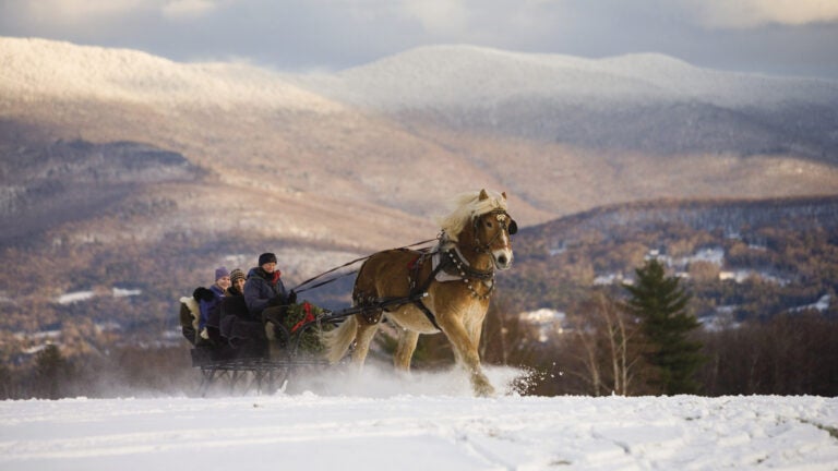 Stowe VT animated family holiday high quality greeting