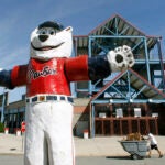 PawSox