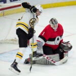 Tim Schaller Boston Gruins