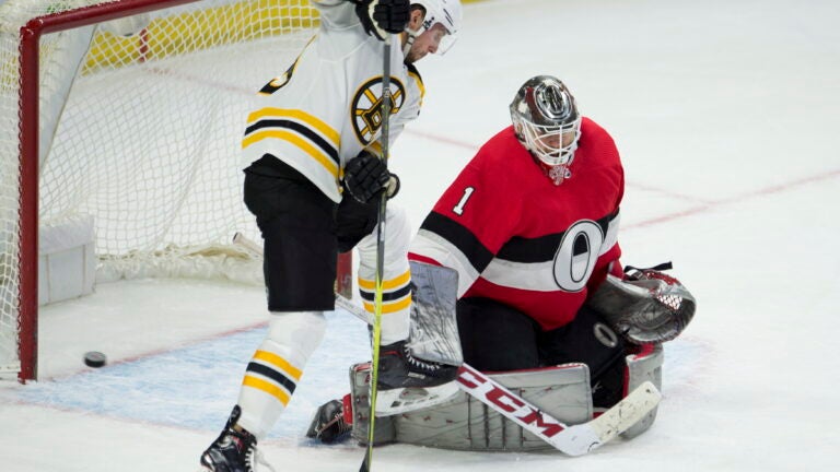 Tim Schaller Boston Gruins