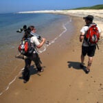 Nomans Land Wildlife Refuge