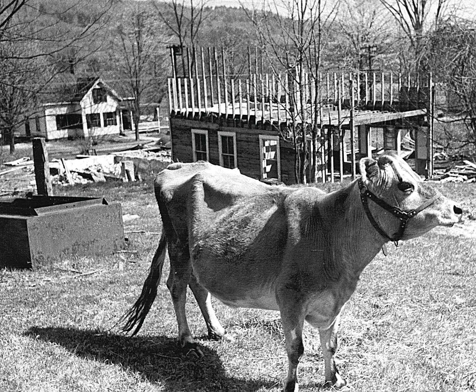 Quabbin Reservoir A story of thirst, wild beauty, and towns washed