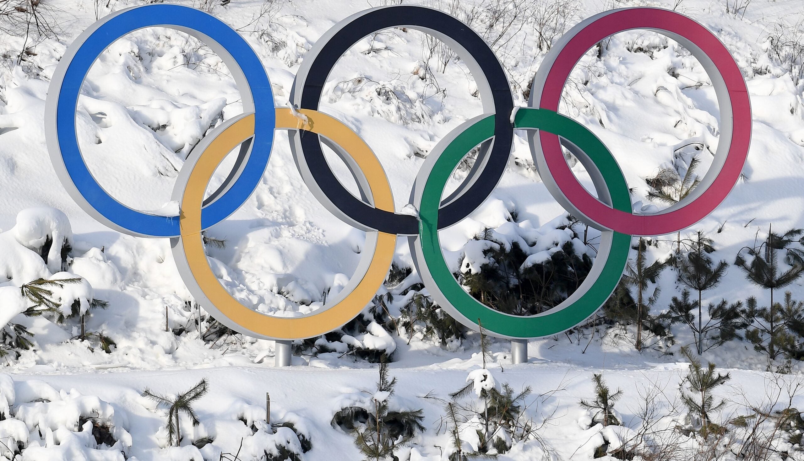 Here’s what people are Googling during the Olympics