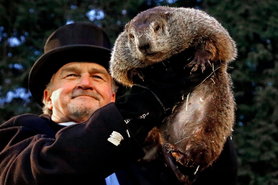 Here's how to watch the official Mass. groundhog make her prediction