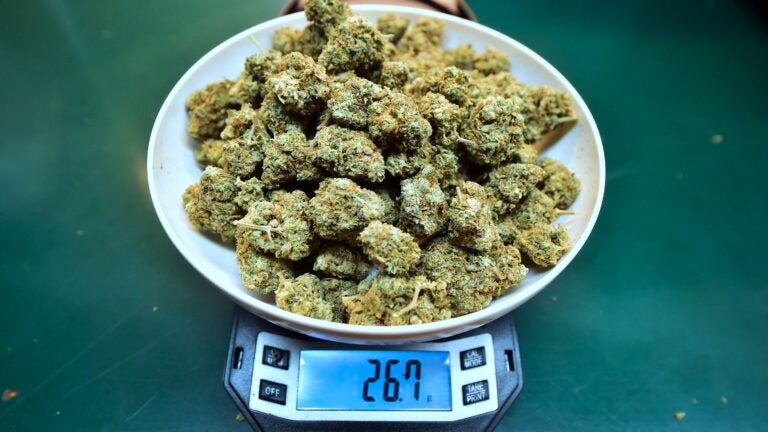 Marijuana