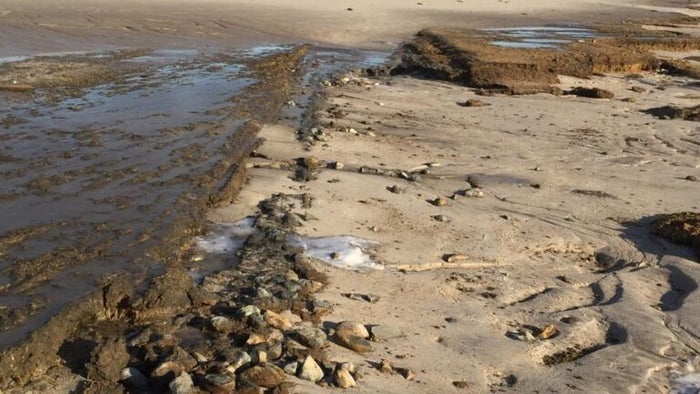 A new ‘anomaly’ from the past has emerged on a Cape Cod beach