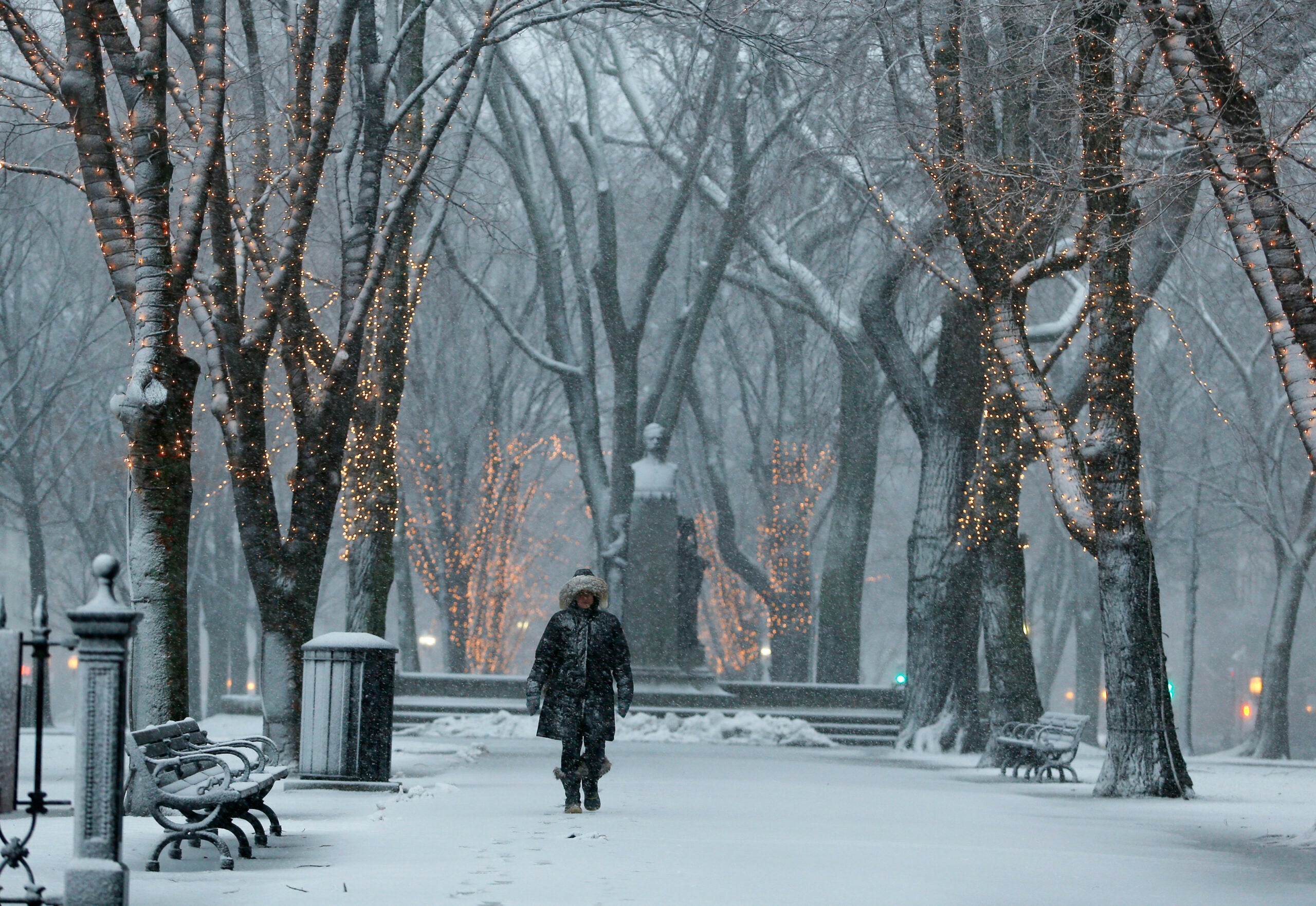 Noaa Weather Forecast Boston - m64qidb