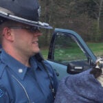 Injured Osprey Rescued