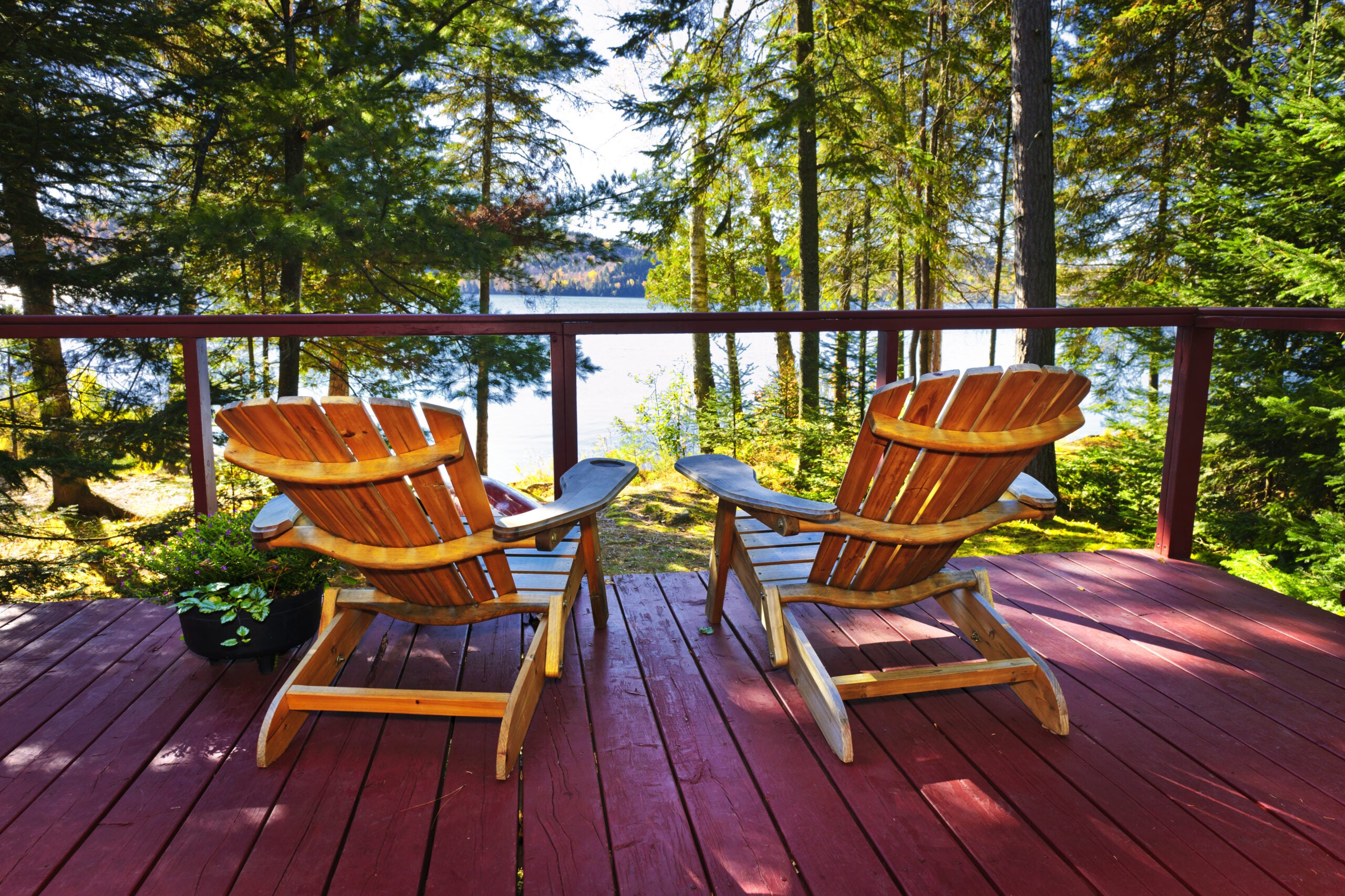 How to remove pine sap from your deck