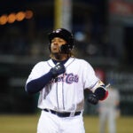 Vladimir Guerrero Jr.