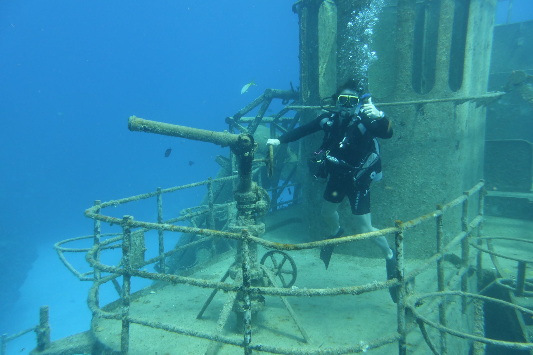 Kittiwake wreck dive and Stingray City are adventures