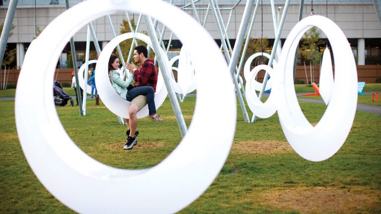 Lawn on D swings