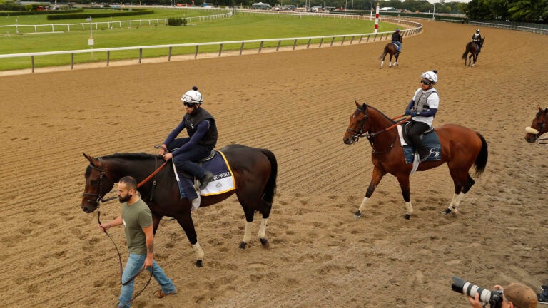 Belmont Stakes Horse Racing