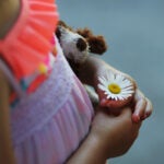 weezies-garden-elm-bank