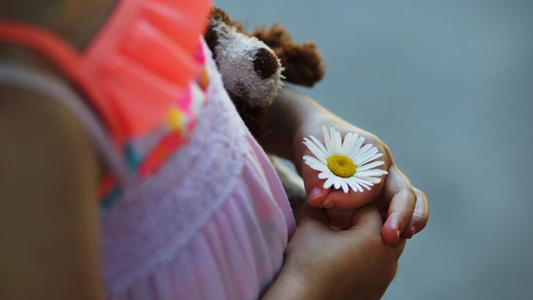 weezies-garden-elm-bank