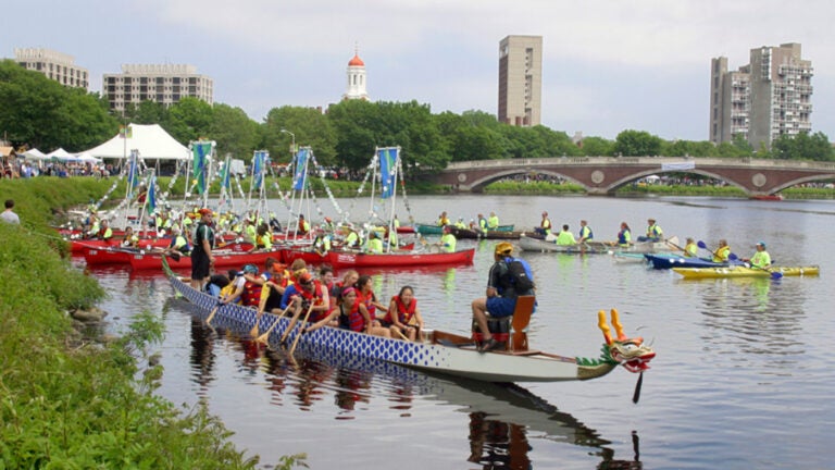The Boston Dragon Boat Festival.