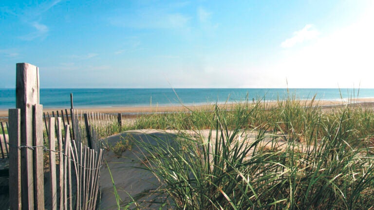 Coast Guard Beach