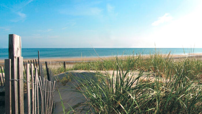 The ultimate guide to Massachusetts beaches