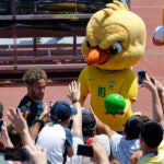 Brazil mascot World Cup