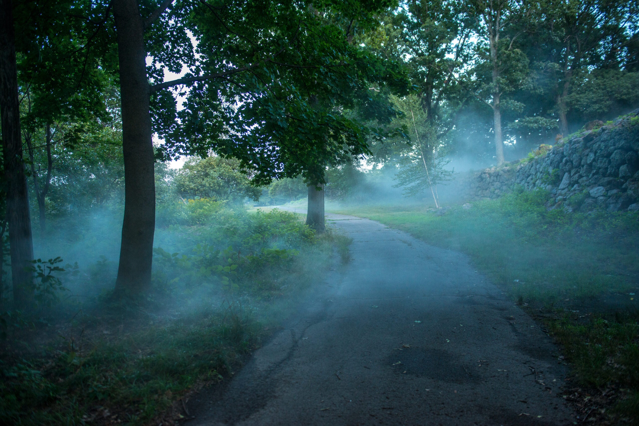 philip johnson glass house fog