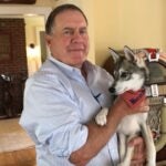 Bill Belichick dog