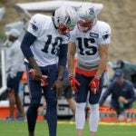 Josh Gordon, Chris Hogan