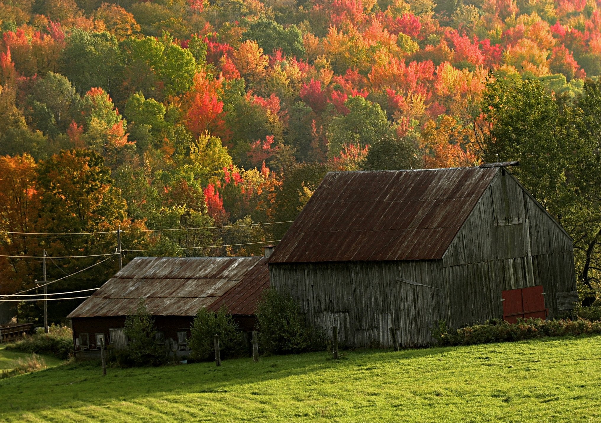 Fall foliage scene in Vermont