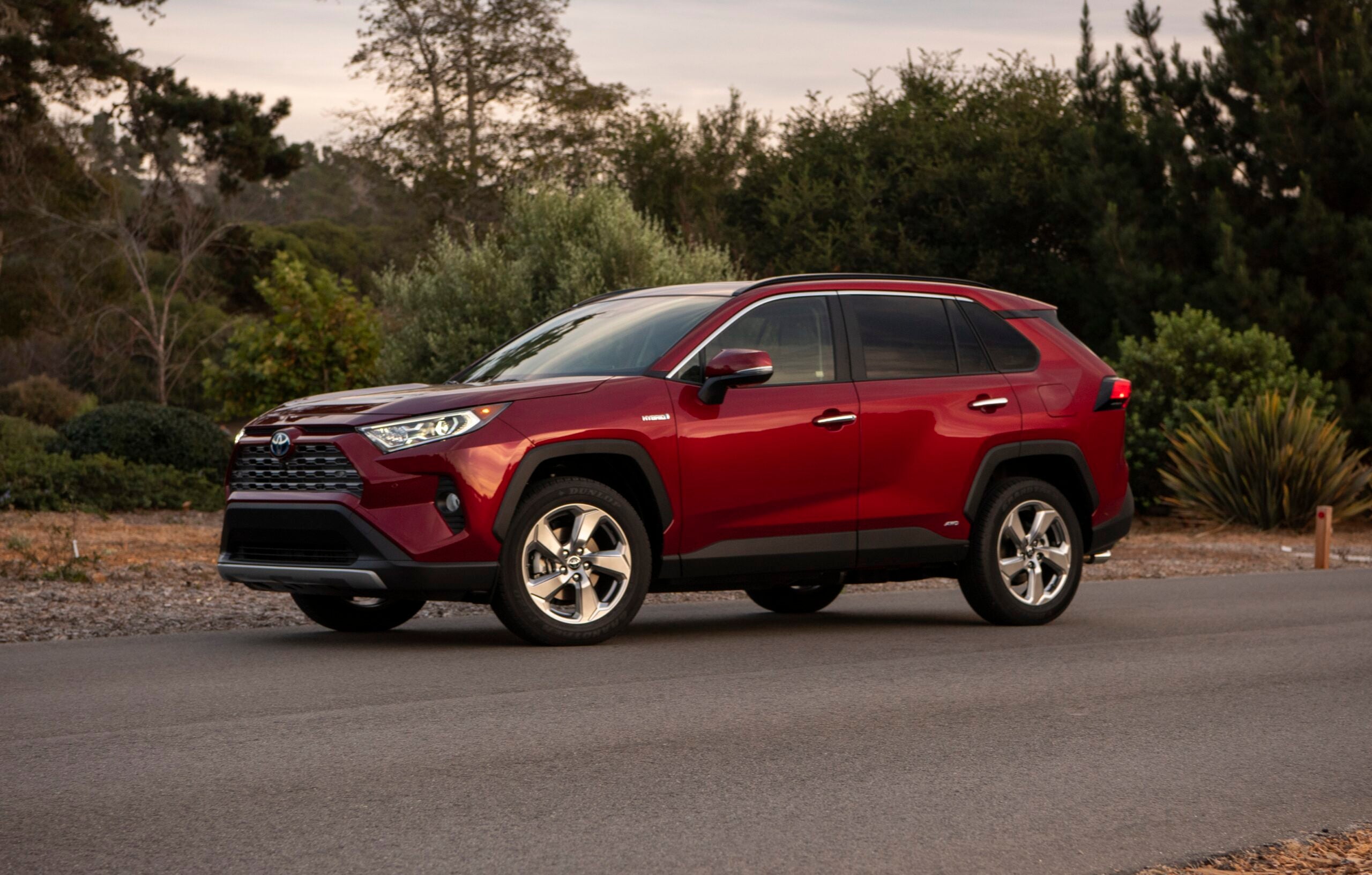 Toyota rav4 2019