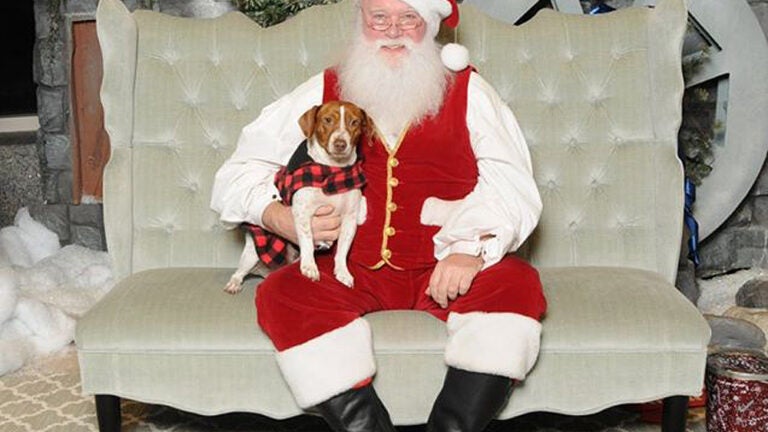 where can my dog take a picture with santa