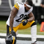 Stevan Ridley